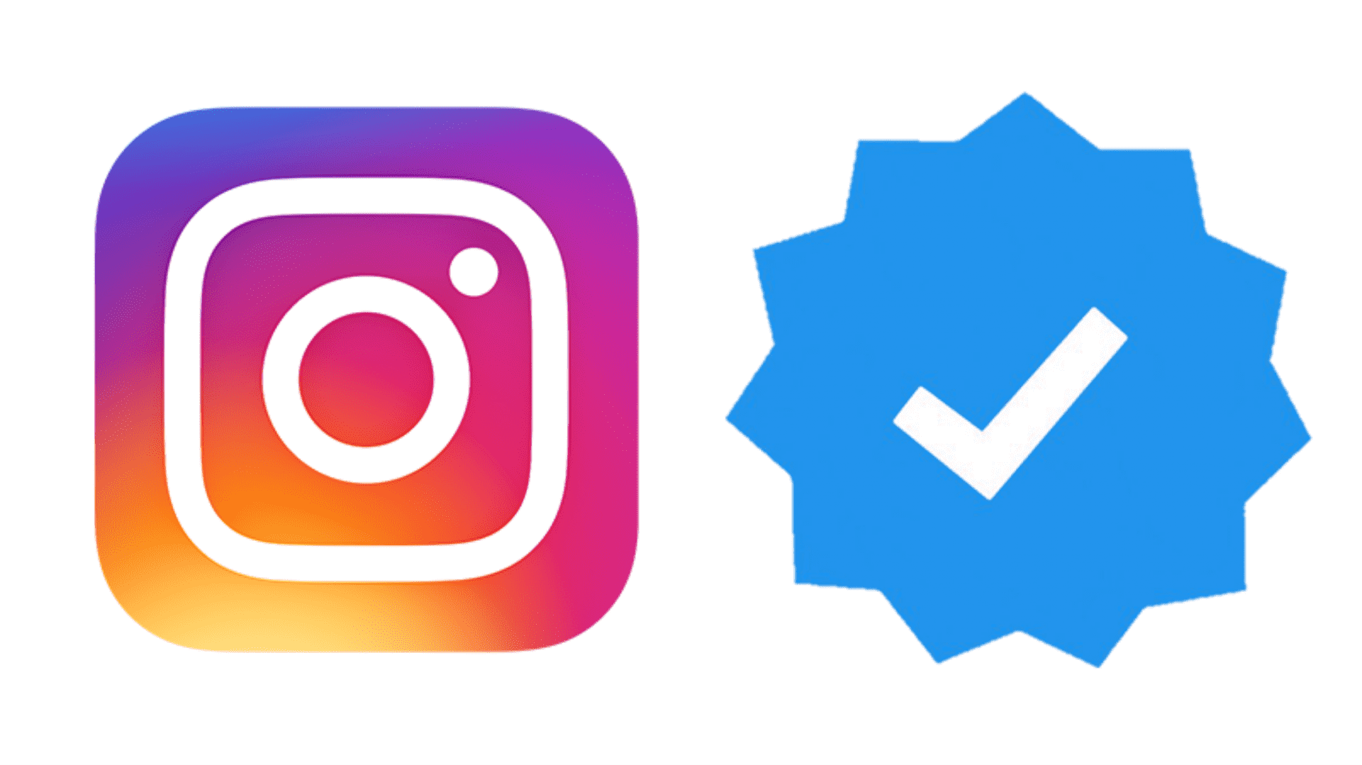 Instagram Mavi Tik Başvurusu Yapma